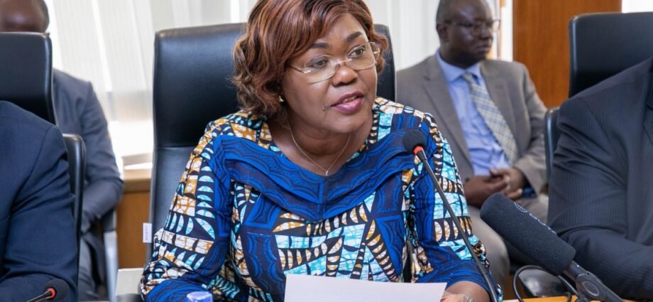 Stabilité dans les zones frontalières du nord du pays : La Côte d’Ivoire et ses partenaires font le bilan de l’année 2023 1 kaba 1