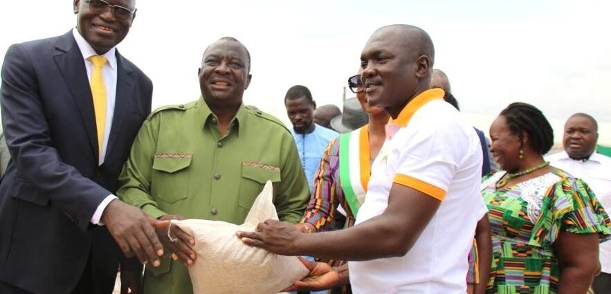 Sécurité alimentaire : Le ministre Kobenan Kouassi Adjoumani distribue des kits de production de riz à 4 367 producteurs de la région de Gbèkè 1 ADJOUM SAK