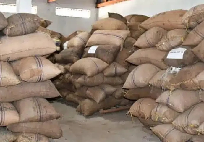 Le prix du cacao camerounais atteint un record de 3 000 FCFA le kilogramme 9 cacao commerce 1140x480.jpg