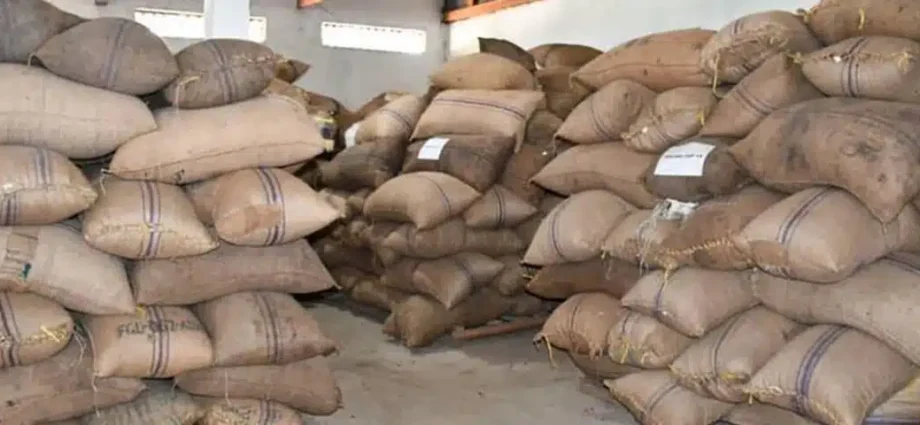 Le prix du cacao camerounais atteint un record de 3 000 FCFA le kilogramme 1 cacao commerce 1140x480.jpg