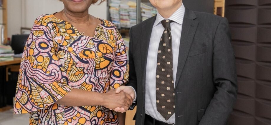 Financement du développement : Le Japon veut accélérer son appui à la Côte d’Ivoire 1 photo Kaba 1