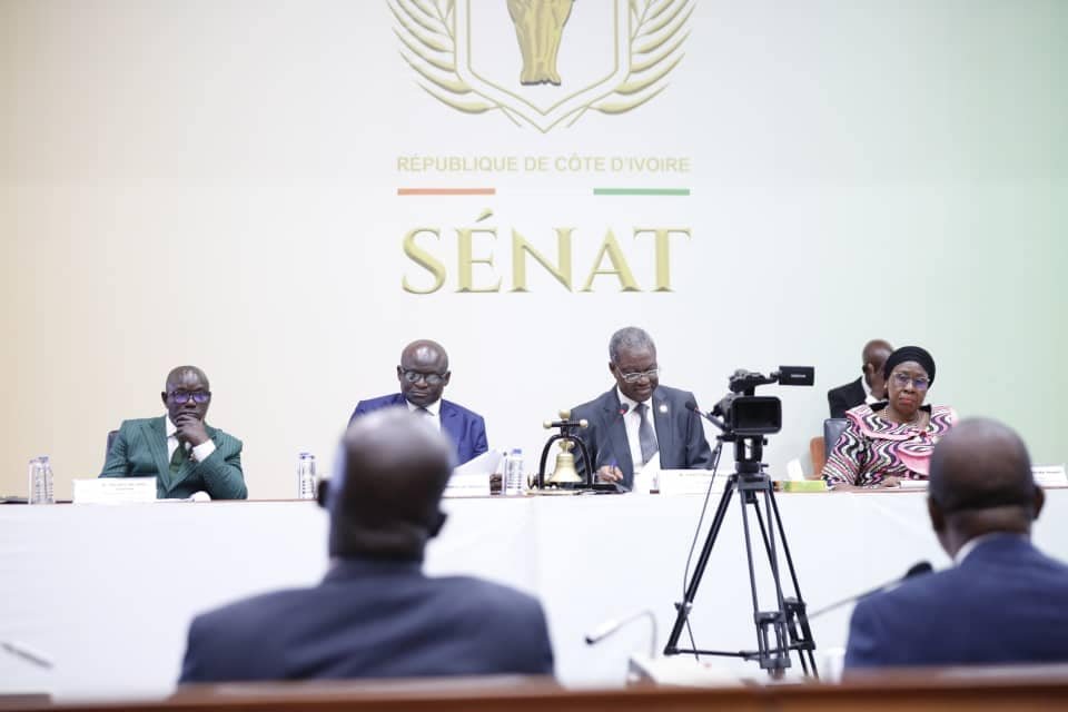 MCLU|SÉNAT: Nouvelle réglementation pour les ingénieurs-conseils en construction 3 BRUNO SENAT 3