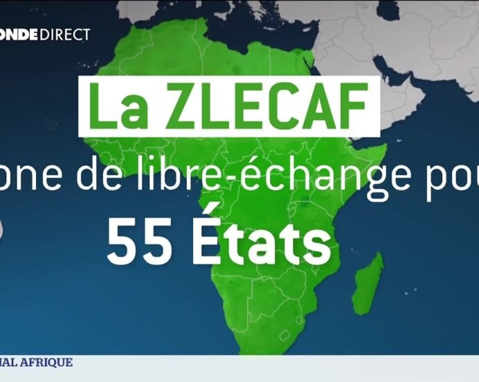 Zone de libre-échange ( ZLECAF) : Son apport pour le développement de l'e-commerce en Afrique 2 photo libre echange