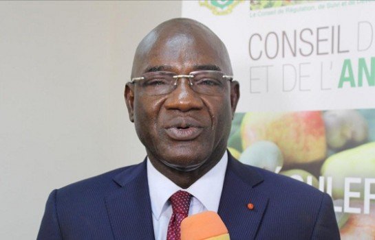 Dr Adama Coulibaly livre les chiffres du coton et de l'anacarde Ivoirien 4 Adama Coulibaly