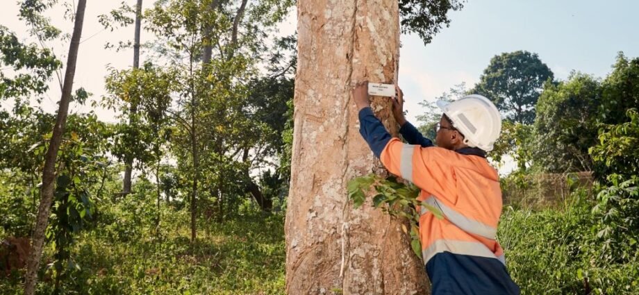 Journée mondiale de l’environnement : Endeavour Mining réaffirme son engagement envers la protection de la biodiversité 1 TOF ENDENAVOUR