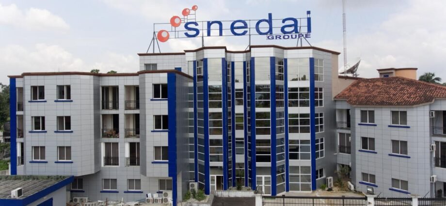 Production de cartes consulaires sécurisées: Le Burkina Faso met fin au contrat de SNEDAI 1 TOF SNEIDA
