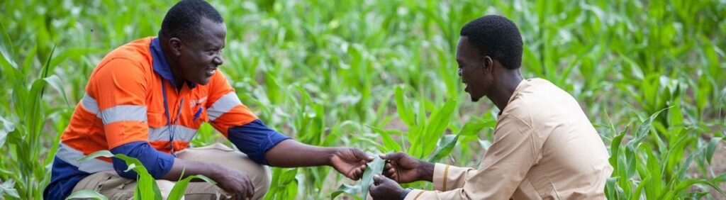 Journée mondiale de l’environnement : Endeavour Mining réaffirme son engagement envers la protection de la biodiversité 2 YOF HEVEA 3