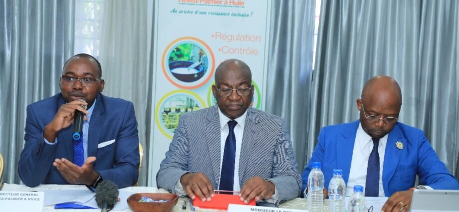Production de caoutchouc naturel : La Côte d’Ivoire, classée 3ème producteur mondial, derrière la Thaïlande et l'Indonésie et devant le Vietnam 1 hevea photo
