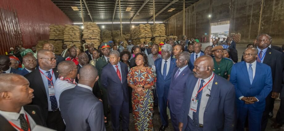 En visite à l’usine Cémoi Côte d’Ivoire à Yopougon : João Manuel Gonçalves Lourenço s’imprègne du processus de la transformation locale du Cacao 1 photo Cemoi 3