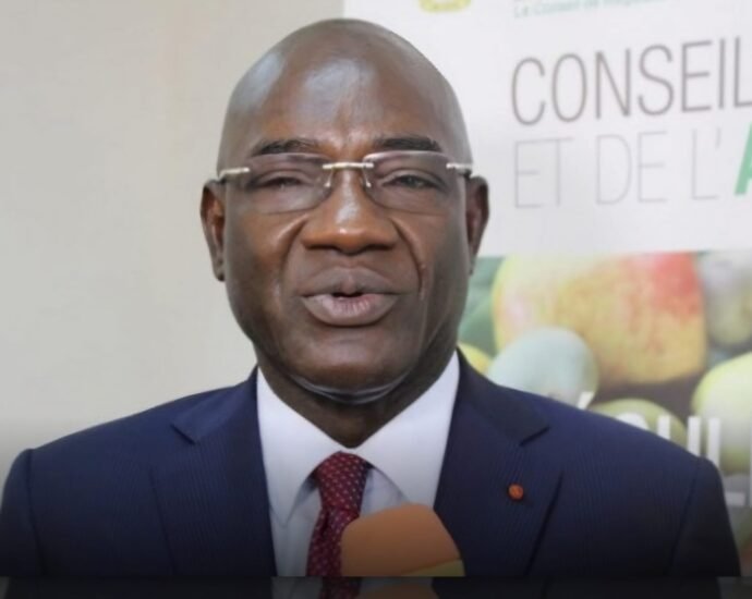 photo Dg Conseil Coton et anarcade