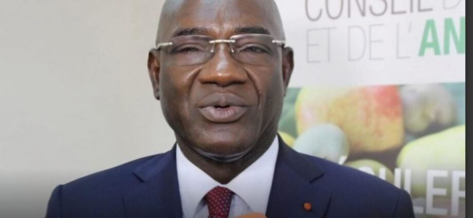 Affaire le Conseil du Coton-anacarde mis sous tutelle / Faux : Le Dg Adama Coulibaly demeure à son poste 1 photo Dg Conseil Coton et anarcade