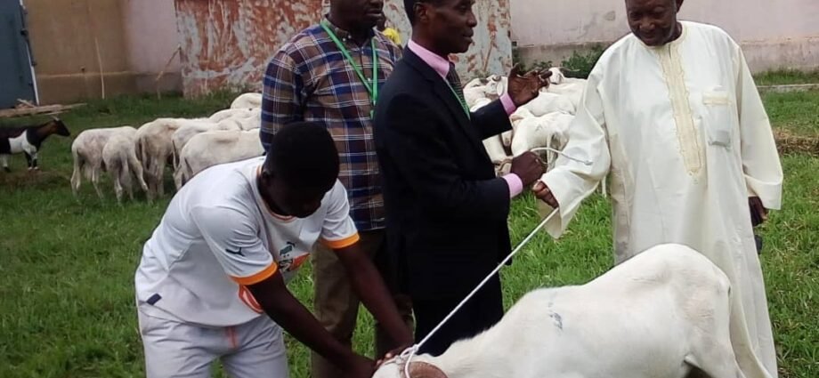 District Autonome De SassandraMarahoué Le Ministregouverneur