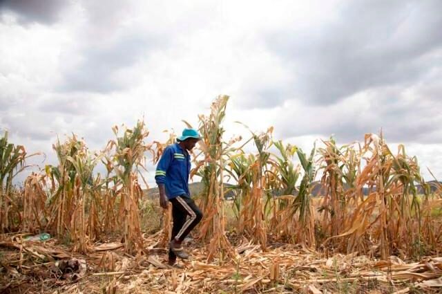 ARC est une agence spécialisée qui a pour but d’aider les pays africains à bien anticiper et gérer les catastrophes naturelles