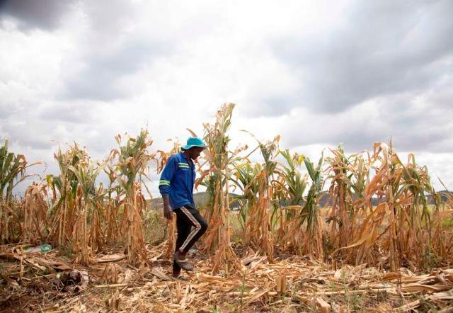ARC décaisse des fonds pour permettre au Zimbabwe d'échapper au spectre de la famine 2 ARC est une agence spécialisée qui a pour but d’aider les pays africains à bien anticiper et gérer les catastrophes naturelles