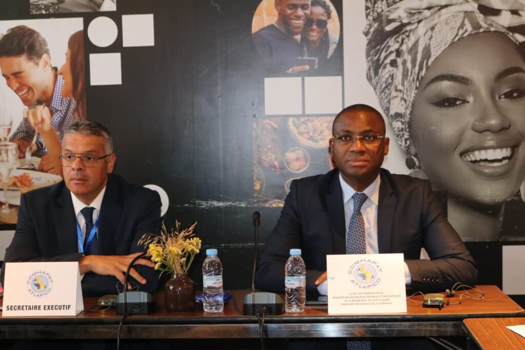 69ème session de la commission baleinière Internationale : Le ministre Sidi Touré préside au Maroc la réunion préparatoire 2 photo Bamba 2