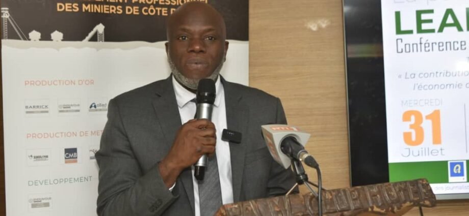 Secteur minier ivoirien : Une contribution fiscale d’environ 253 milliards de FCFA, selon Jean-Claude Diplo 1 photo mine 5