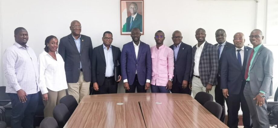 Campagne de commercialisation du cajou 2025: Le Conseil du Coton et de l'anacarde rencontre les transformateurs 1 photo anacarde