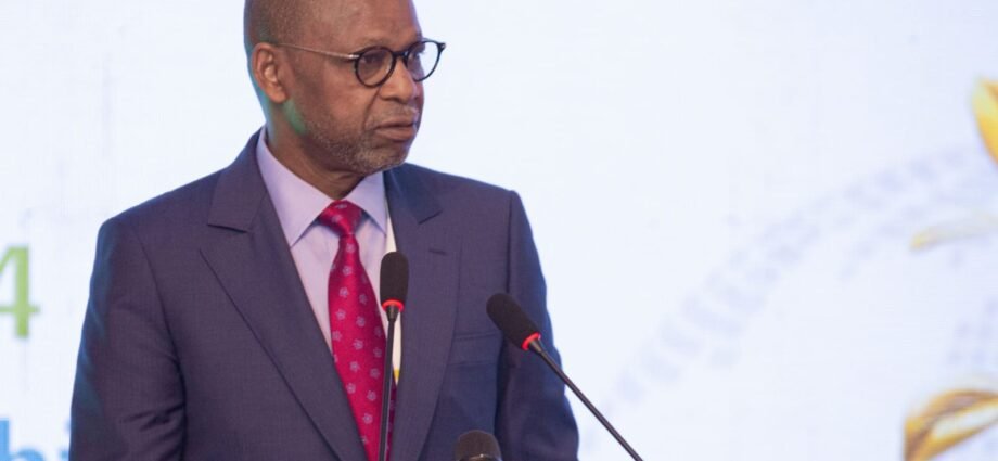 Investissement des fonds de sécurité sociale : Mettre en relief le rôle et l’impact de politiques dans la durabilité des systèmes de protection sociale 1 photo Adama Kamara