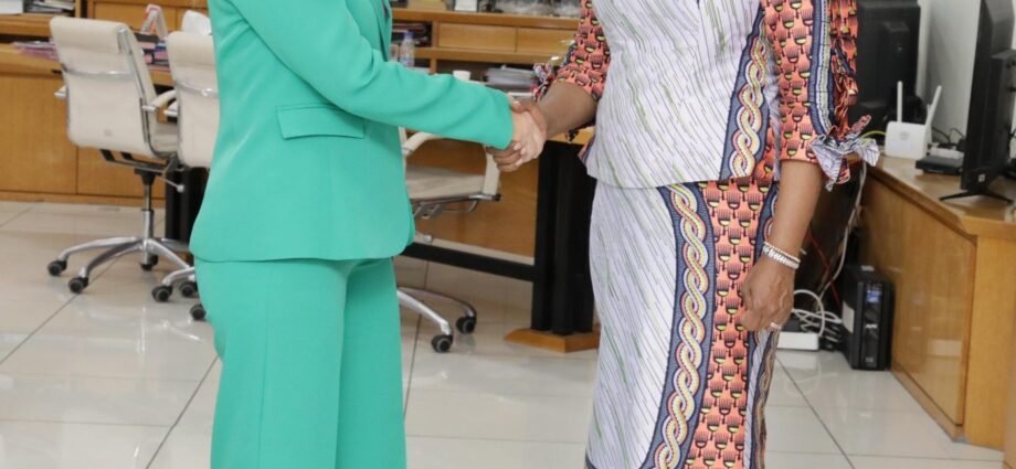 Coopération : Nialé Kaba échange avec BlertaCela, nouvelle représentante du PNUD 1 photo Niale 1