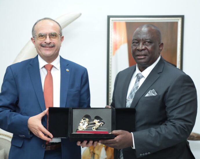 Développement de la filière riz en Côte d'Ivoire : Kobenan Kouassi Adjoumani reçoit une délégation de la société égyptienne The Arab Contarctors 2 photo agri 2 1
