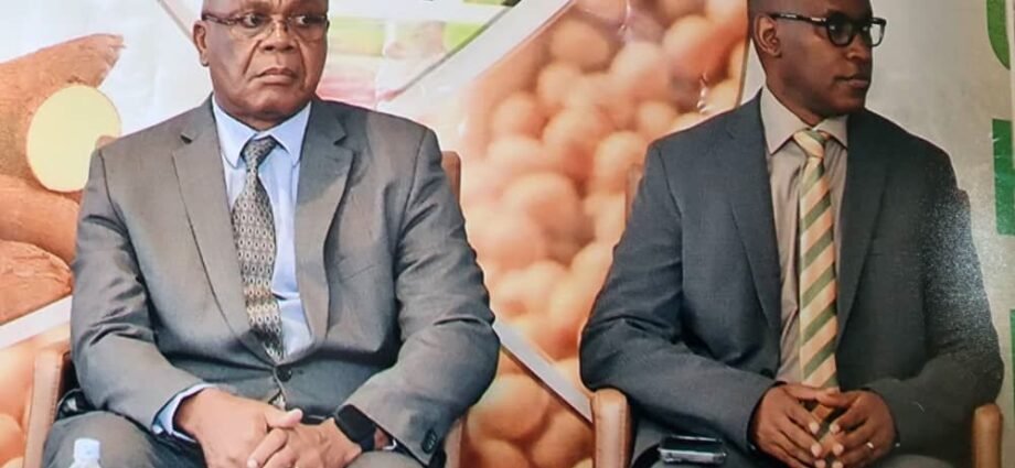La Banque Africaine de Développement renforce la production alimentaire en Côte d'Ivoire 1 TOF BAD