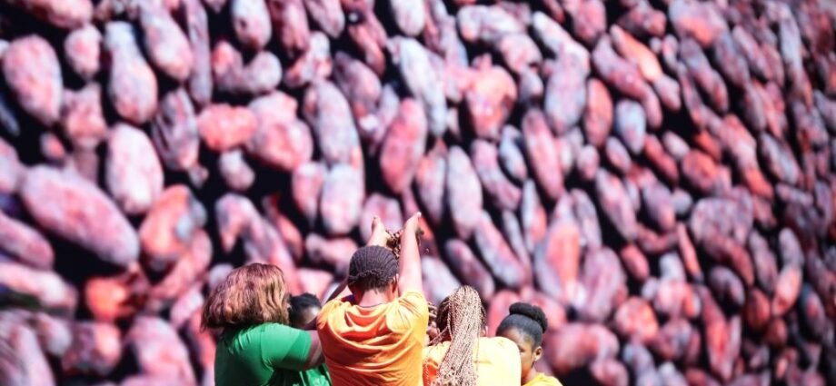 cacao B