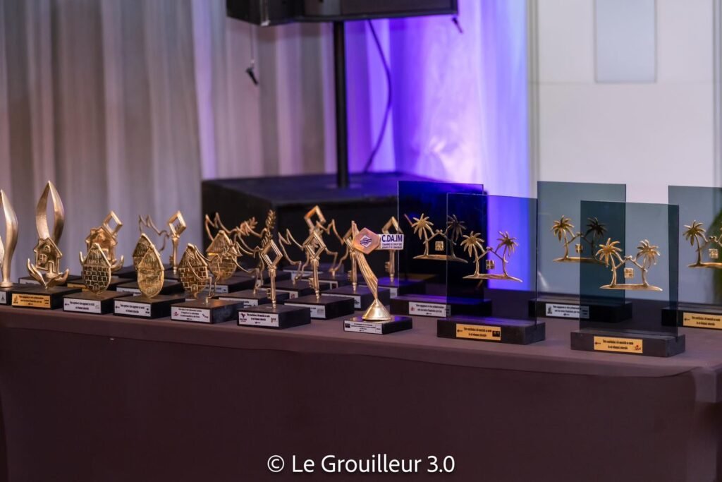 Bruno Koné aux agents immobiliers agrées : « Extirpez les brebis galeuses, pour créer un lien de confiance fort avec les propriétaires, bailleurs, locataires, acheteurs et l’État » 9 photo Bruno 12