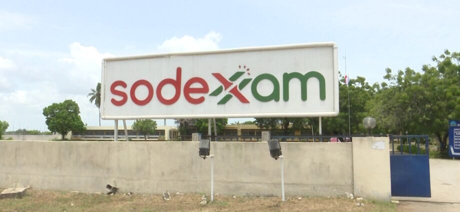 photo Sodexam