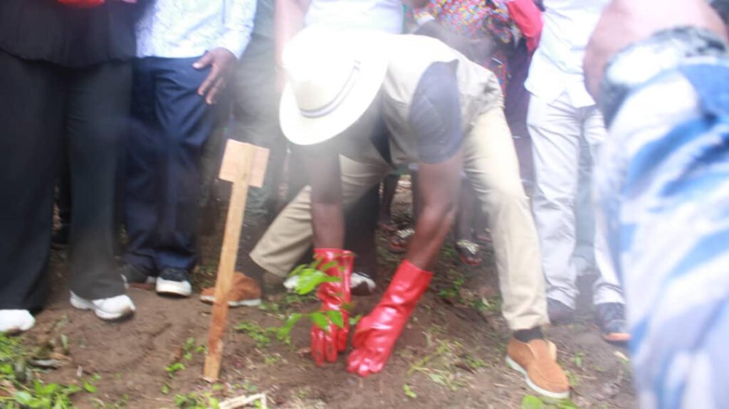 Lutte contre la déforestation en Côte d’Ivoire : IDV ambitionne reboiser 500 hectares de forêts diplomatiques dans 2 ans 7 photo planting 12