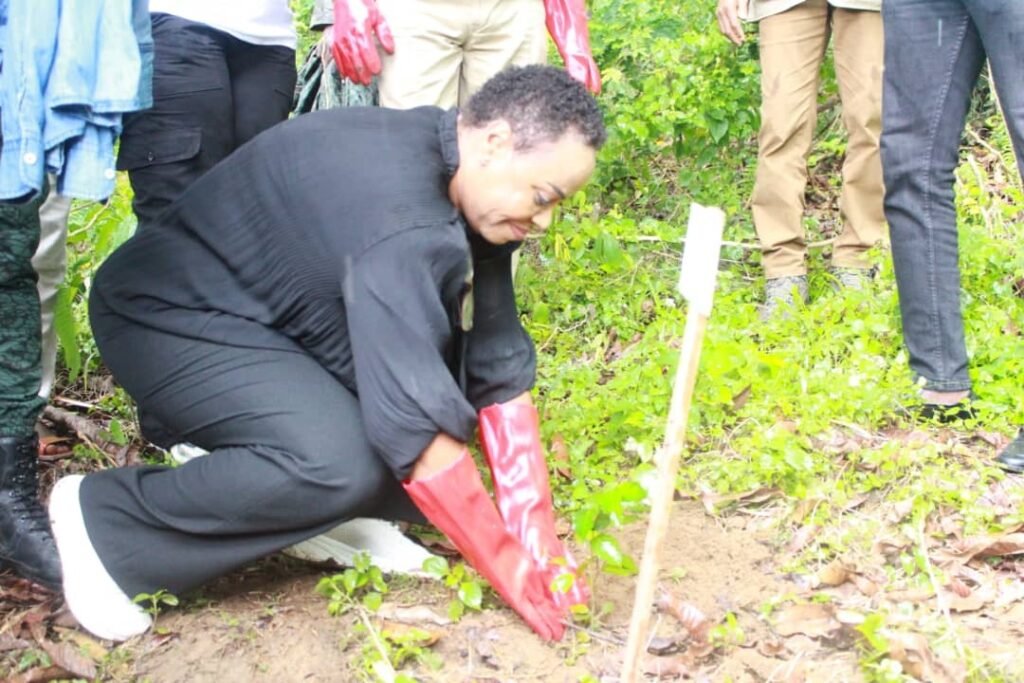 Lutte contre la déforestation en Côte d’Ivoire : IDV ambitionne reboiser 500 hectares de forêts diplomatiques dans 2 ans 8 photo planting 4