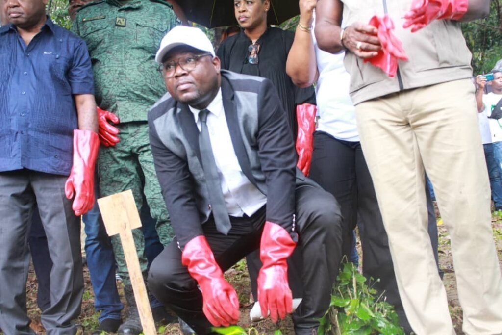 Lutte contre la déforestation en Côte d’Ivoire : IDV ambitionne reboiser 500 hectares de forêts diplomatiques dans 2 ans 9 photo planting 5