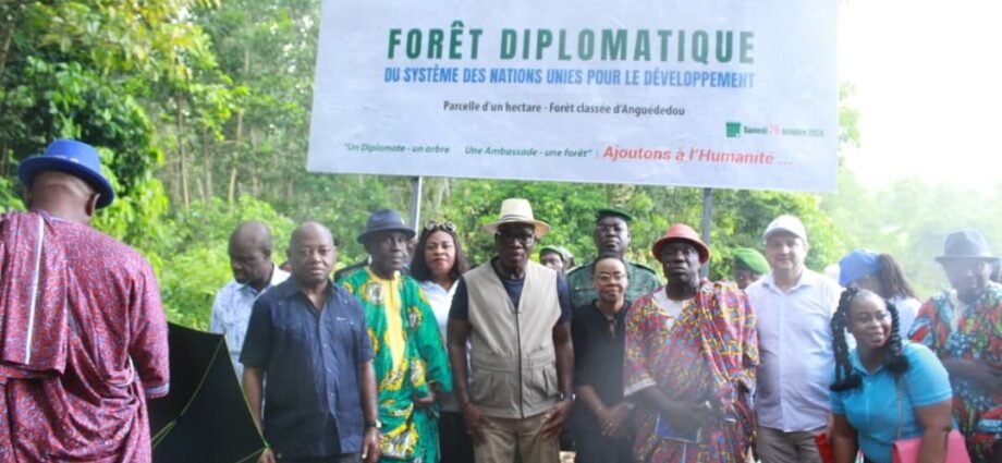 Lutte contre la déforestation en Côte d’Ivoire : IDV ambitionne reboiser 500 hectares de forêts diplomatiques dans 2 ans 1 photo planting 6