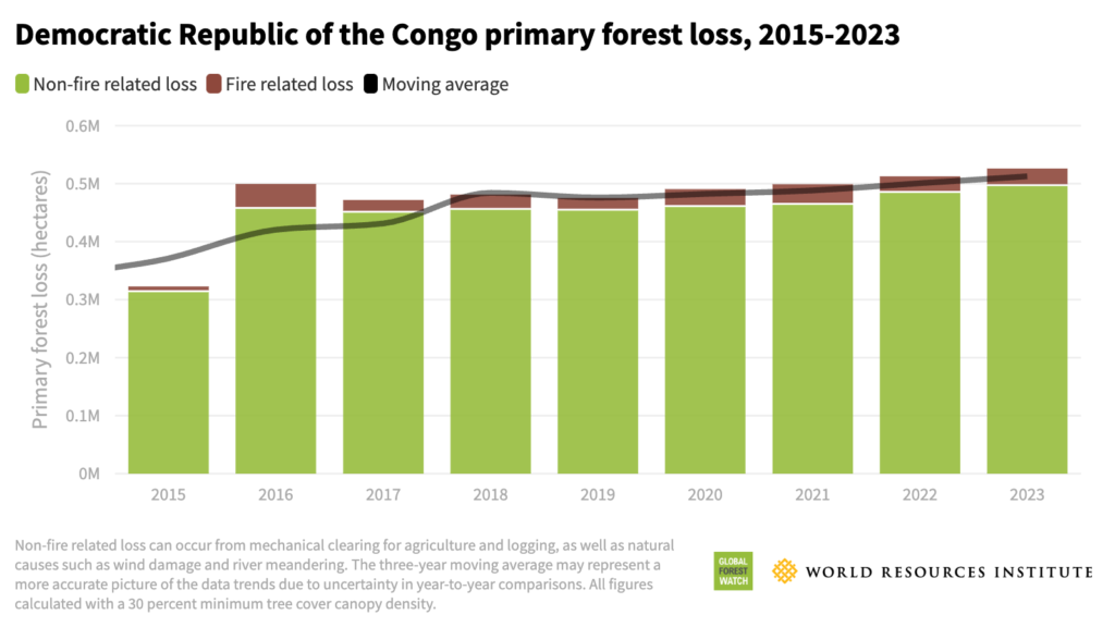 Rawbank et Vitol investissent plus de 1.000 milliards FCFA dans 2 projets de cookstoves en RDC 2 Rawbank public gfr 2024 03 GFR 80c DRC primary forest loss 16x9@2x