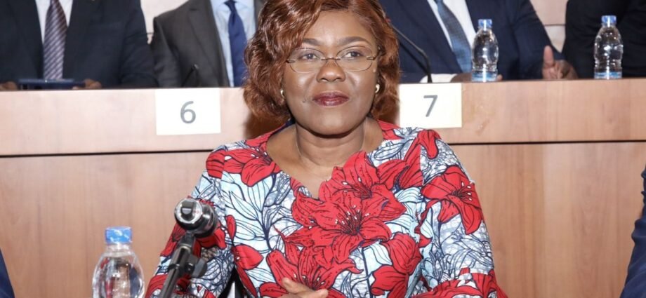 photo assemblee nationale 2