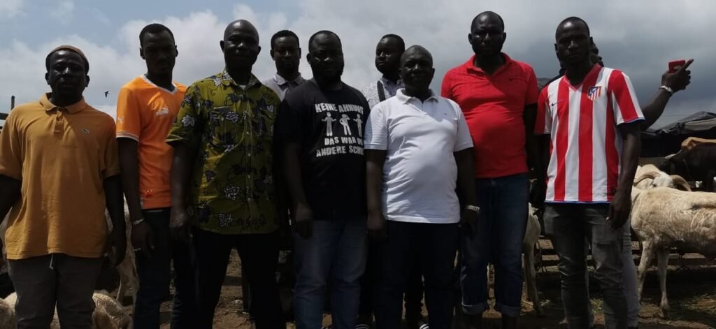 Les commerçants de bétail d'Adjamé face à l'incertitude : Un cri de détresse pour la survie de leur activité 5 photo mouton 2 1