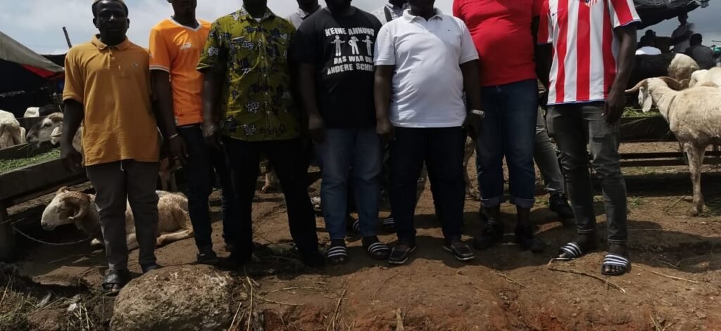Les commerçants de bétail d'Adjamé face à l'incertitude : Un cri de détresse pour la survie de leur activité 6 photo mouton 3