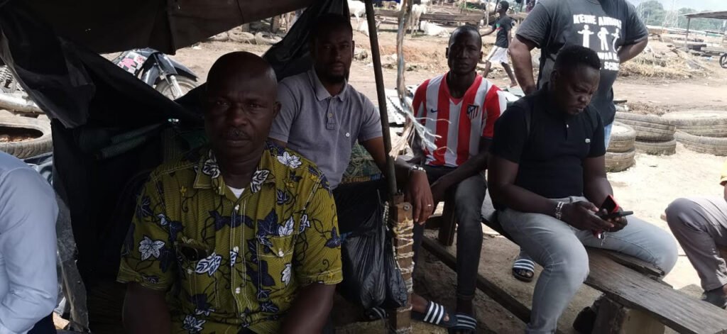 Les commerçants de bétail d'Adjamé face à l'incertitude : Un cri de détresse pour la survie de leur activité 2 photo mouton 5