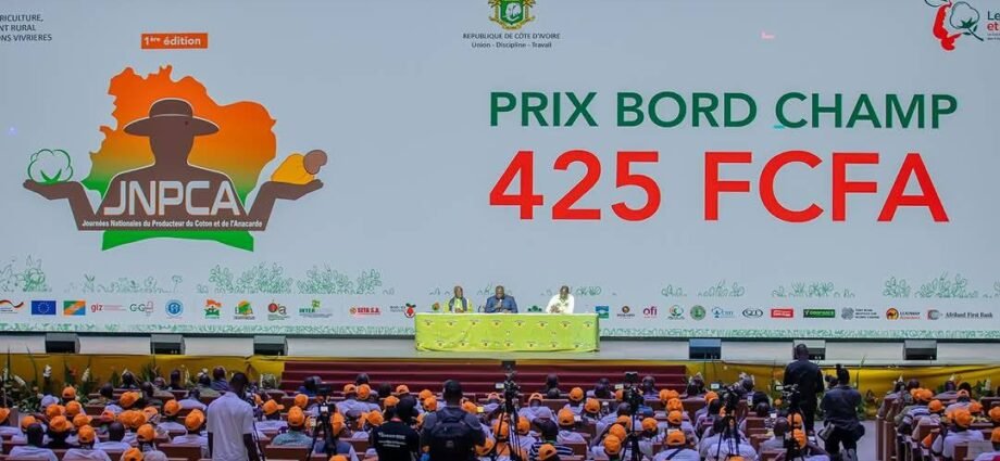 Journées nationales du producteur de Coton et d’Anacarde : Distinctions et partenariats stratégiques au rendez-vous 1 photo coton anacarde 2