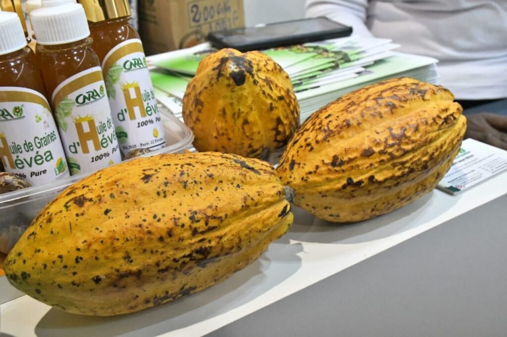 Cacao paris 4