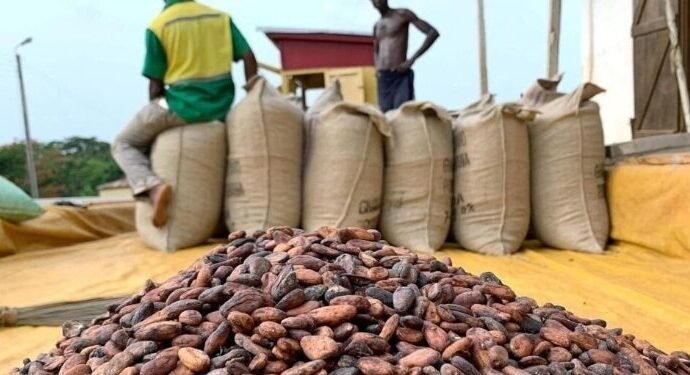 OIA Café-Cacao : Les producteurs réclament la démission du Comité technique 2 TOF OIA 2