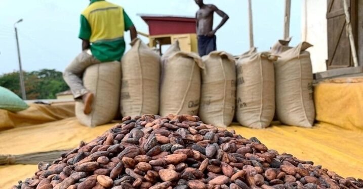 OIA Café-Cacao : Les producteurs réclament la démission du Comité technique 1 TOF OIA 2