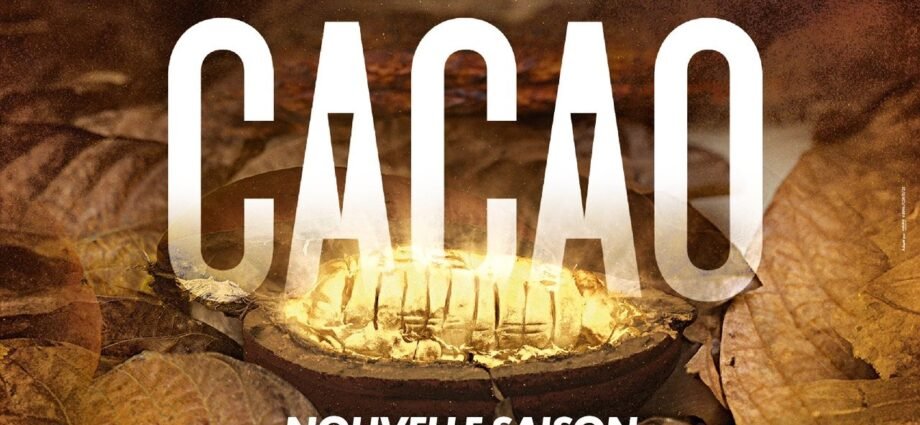 Retour Triomphal de « CACAO » : Une plongée dans les rivalités familiales africaines 1 photo serie 1