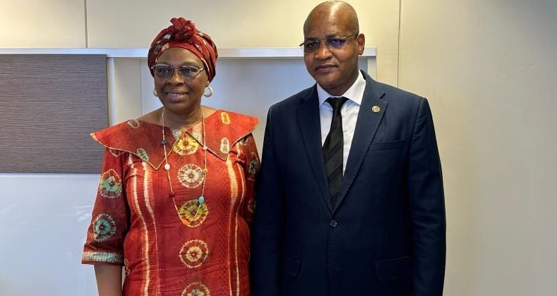 Renforcement du Partenariat entre la BAD et le Conseil de l’Entente : Une Nouvelle Étape pour l’Intégration Régionale en Afrique de l’Ouest 1 Conseil Entente1
