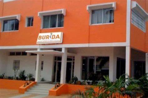 photo Burida