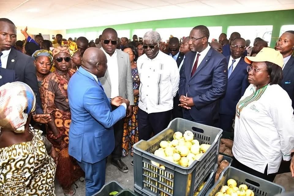 Lutte contre la vie chère : un marché de proximité du vivrier inauguré à Daboré 6 photo Dabor 8