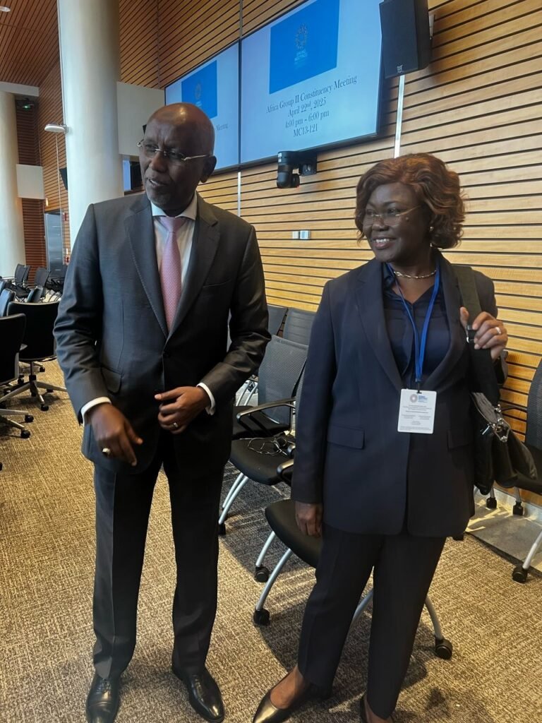 Passation de présidence au Groupe Afrique II : Une nouvelle étape pour le développement du continent 3 photo eco 1