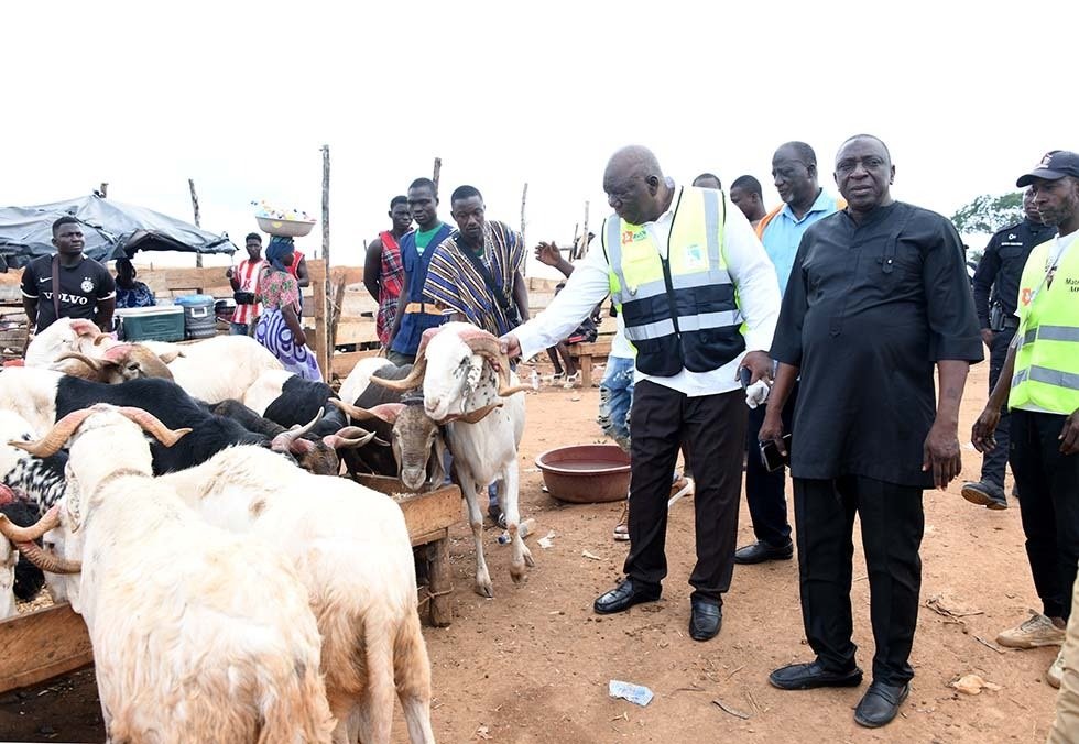 A quelques jours de la Tabaski 2025 : Une immersion grandeur nature au cœur des marchés à bétail d’Abidjan 2 mouton 1