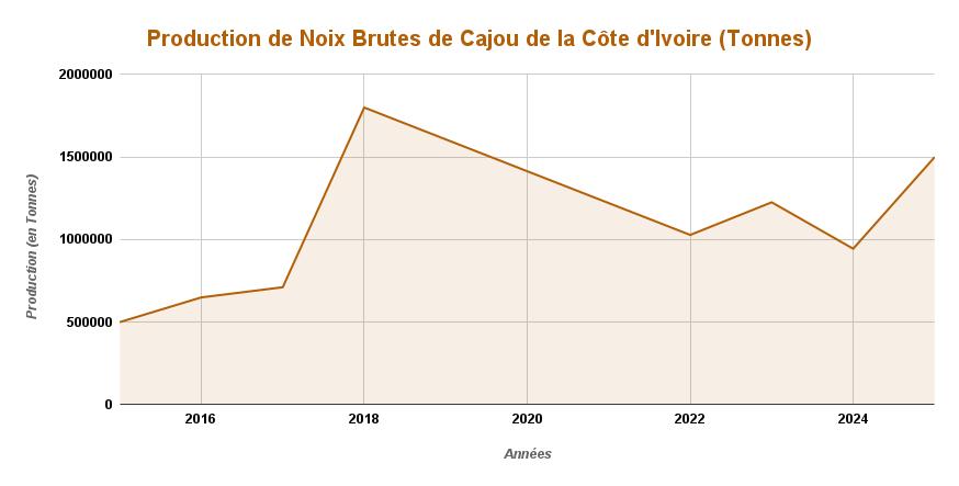 Cajou prod