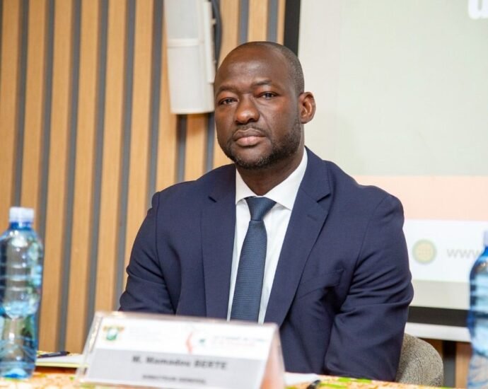 photo Dg coton anacarde
