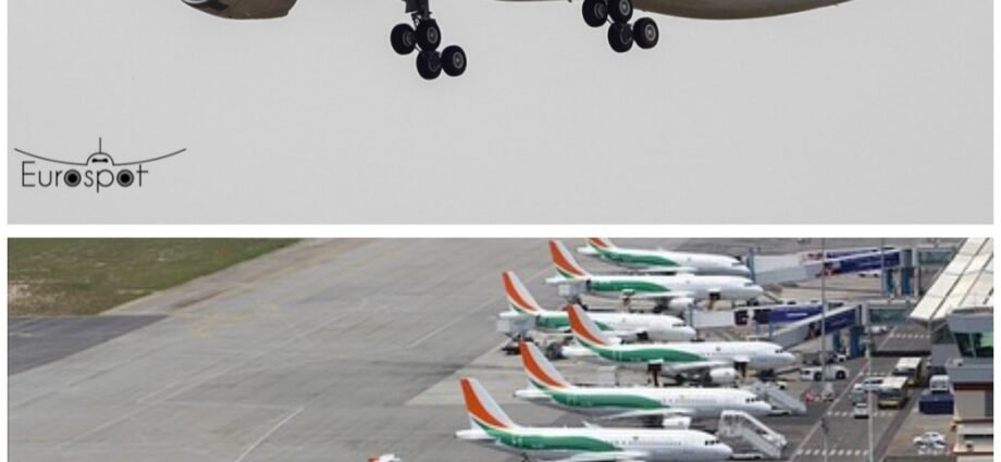 Transport aérien : Un nouveau chapitre s’ouvre pour Air Côte d’Ivoire 1 photo Air Cote dIvoire